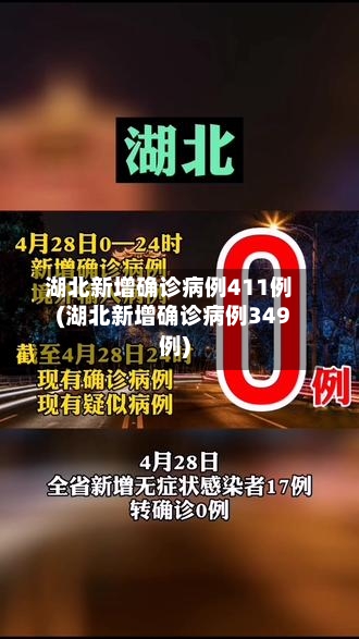 湖北新增确诊病例411例(湖北新增确诊病例349例)-第1张图片