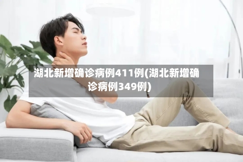 湖北新增确诊病例411例(湖北新增确诊病例349例)-第3张图片