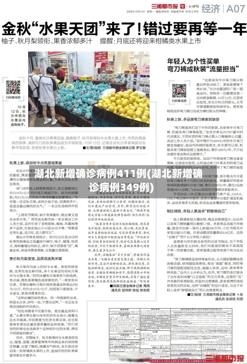 湖北新增确诊病例411例(湖北新增确诊病例349例)-第2张图片