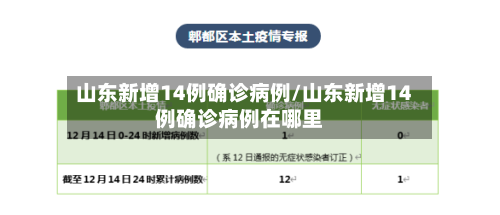 山东新增14例确诊病例/山东新增14例确诊病例在哪里-第2张图片