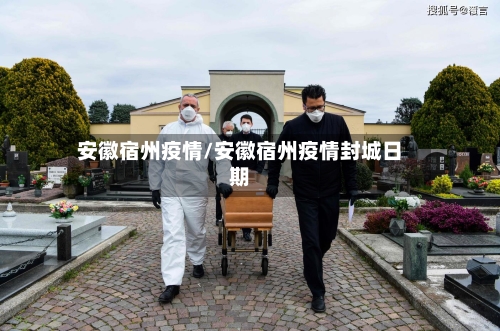 安徽宿州疫情/安徽宿州疫情封城日期-第2张图片