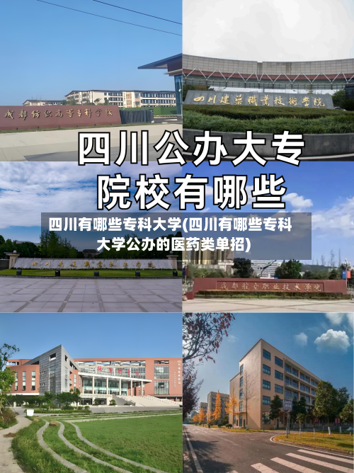 四川有哪些专科大学(四川有哪些专科大学公办的医药类单招)-第2张图片
