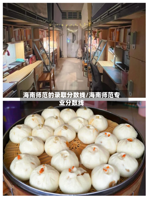 海南师范的录取分数线/海南师范专业分数线-第1张图片