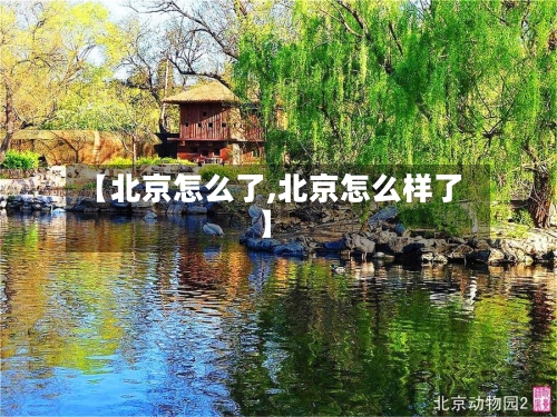 【北京怎么了,北京怎么样了】-第3张图片