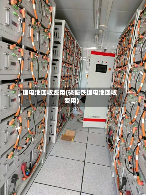 锂电池回收费用(磷酸铁锂电池回收费用)-第1张图片