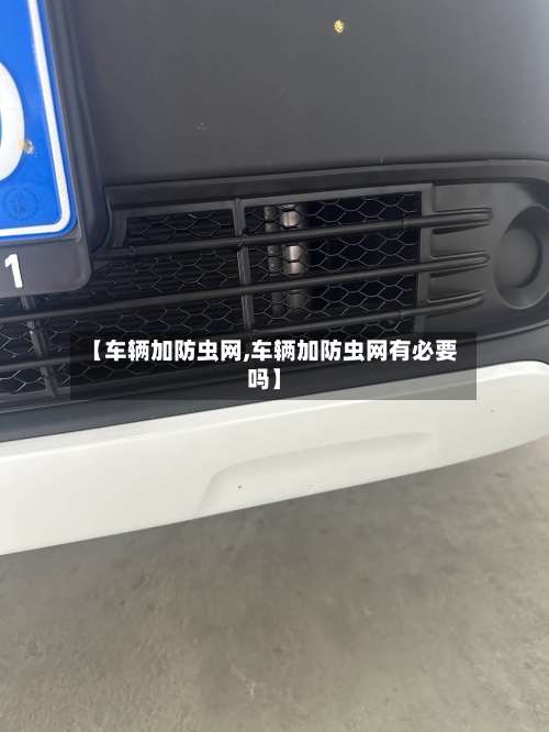 【车辆加防虫网,车辆加防虫网有必要吗】-第1张图片