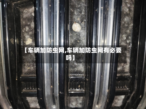 【车辆加防虫网,车辆加防虫网有必要吗】-第3张图片