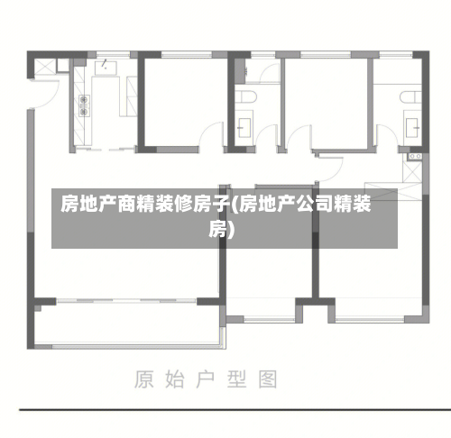 房地产商精装修房子(房地产公司精装房)-第1张图片