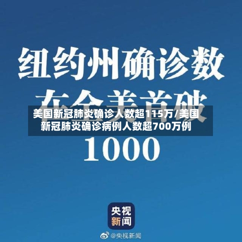 美国新冠肺炎确诊人数超115万/美国新冠肺炎确诊病例人数超700万例-第2张图片