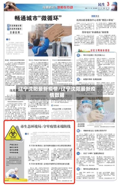 辽宁沈阳最新疫情/辽宁沈阳最新疫情数据-第1张图片