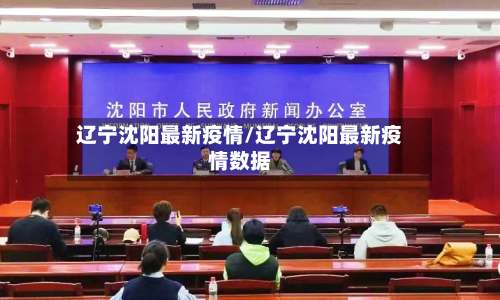 辽宁沈阳最新疫情/辽宁沈阳最新疫情数据-第2张图片