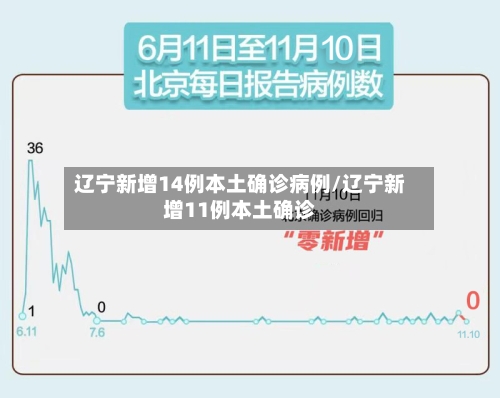 辽宁新增14例本土确诊病例/辽宁新增11例本土确诊-第2张图片