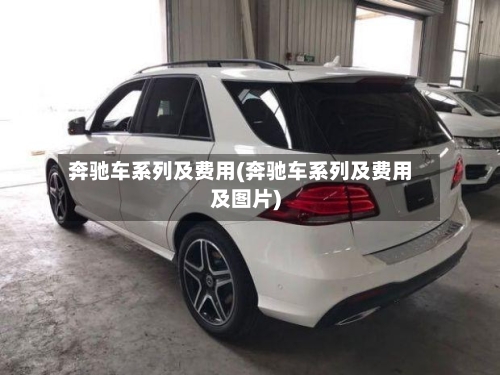 奔驰车系列及费用(奔驰车系列及费用及图片)-第3张图片