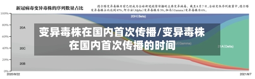 变异毒株在国内首次传播/变异毒株在国内首次传播的时间-第2张图片