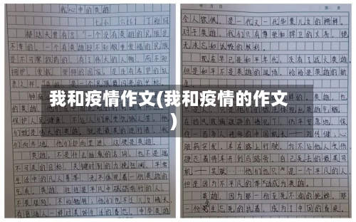 我和疫情作文(我和疫情的作文)-第2张图片
