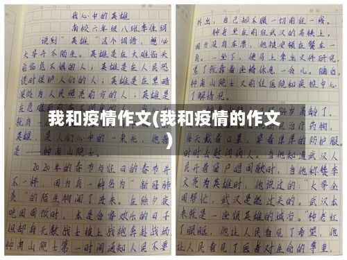 我和疫情作文(我和疫情的作文)-第1张图片
