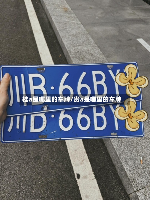 桂a是哪里的车牌/贵a是哪里的车牌-第2张图片