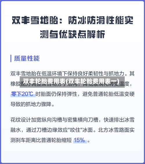 双丰轮胎费用表(双丰轮胎费用表一)-第2张图片
