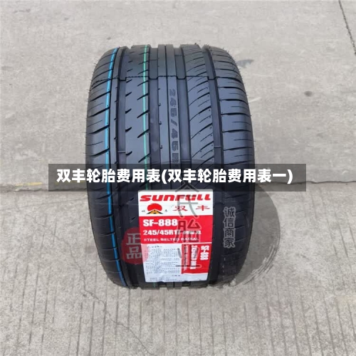 双丰轮胎费用表(双丰轮胎费用表一)-第3张图片