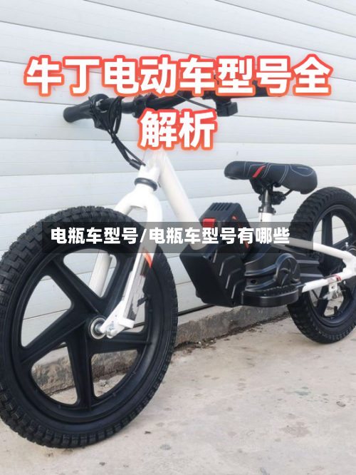 电瓶车型号/电瓶车型号有哪些-第1张图片