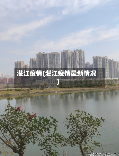 湛江疫情(湛江疫情最新情况)-第3张图片