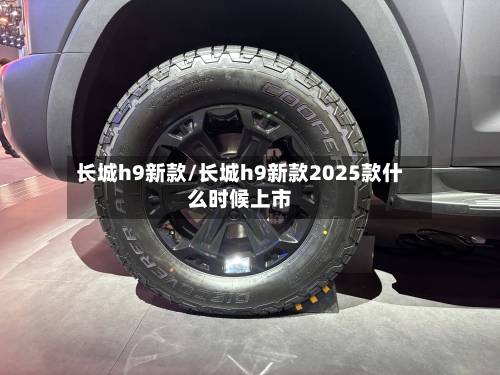 长城h9新款/长城h9新款2025款什么时候上市-第2张图片