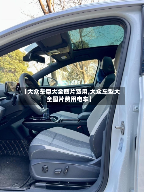 【大众车型大全图片费用,大众车型大全图片费用电车】-第1张图片