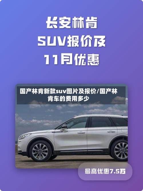 国产林肯新款suv图片及报价/国产林肯车的费用多少-第2张图片