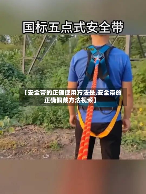 【安全带的正确使用方法是,安全带的正确佩戴方法视频】-第2张图片