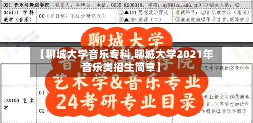 【聊城大学音乐专科,聊城大学2021年音乐类招生简章】-第2张图片