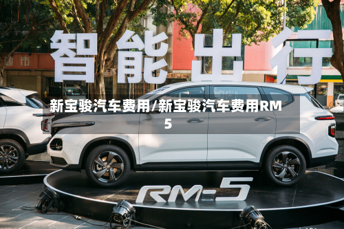 新宝骏汽车费用/新宝骏汽车费用RM5-第2张图片