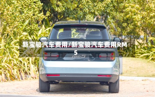 新宝骏汽车费用/新宝骏汽车费用RM5-第3张图片