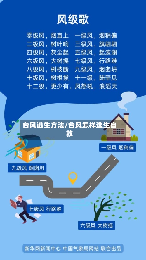 台风逃生方法/台风怎样逃生自救-第2张图片