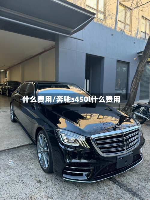 什么费用/奔驰s450l什么费用-第1张图片