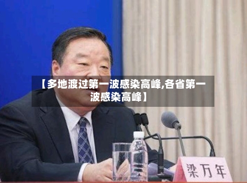 【多地渡过第一波感染高峰,各省第一波感染高峰】