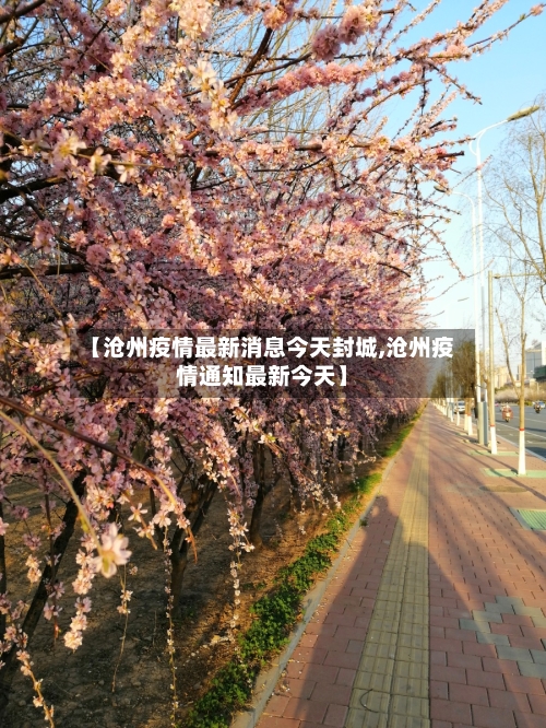 【沧州疫情最新消息今天封城,沧州疫情通知最新今天】-第2张图片