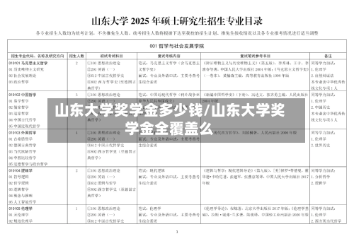 山东大学奖学金多少钱/山东大学奖学金全覆盖么-第2张图片