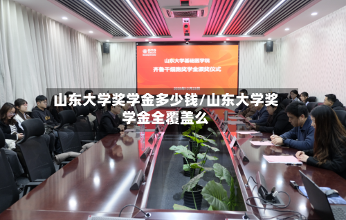 山东大学奖学金多少钱/山东大学奖学金全覆盖么-第1张图片
