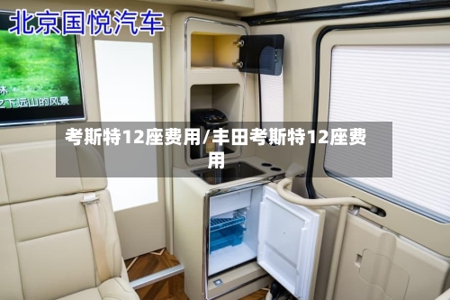 考斯特12座费用/丰田考斯特12座费用-第2张图片