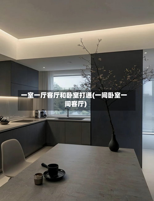 一室一厅客厅和卧室打通(一间卧室一间客厅)-第1张图片