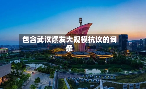包含武汉爆发大规模抗议的词条-第3张图片