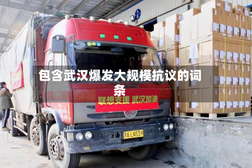 包含武汉爆发大规模抗议的词条-第2张图片