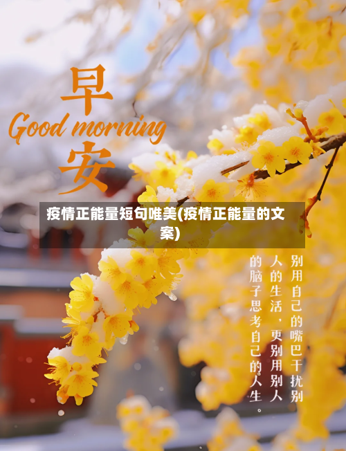 疫情正能量短句唯美(疫情正能量的文案)-第1张图片