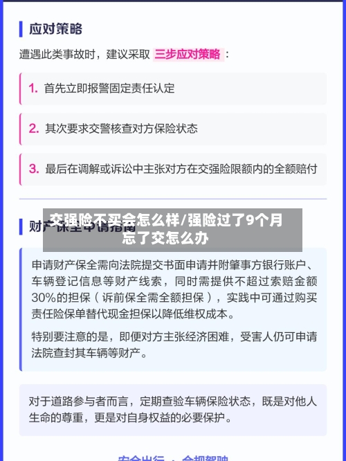 交强险不买会怎么样/强险过了9个月忘了交怎么办-第3张图片