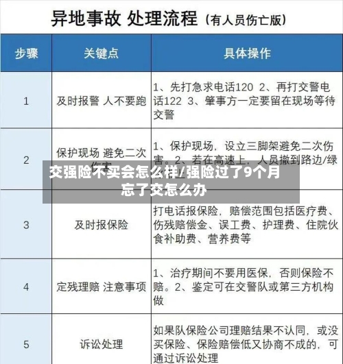 交强险不买会怎么样/强险过了9个月忘了交怎么办-第1张图片