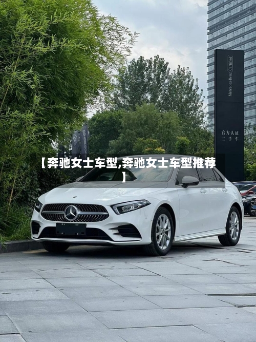【奔驰女士车型,奔驰女士车型推荐】-第2张图片