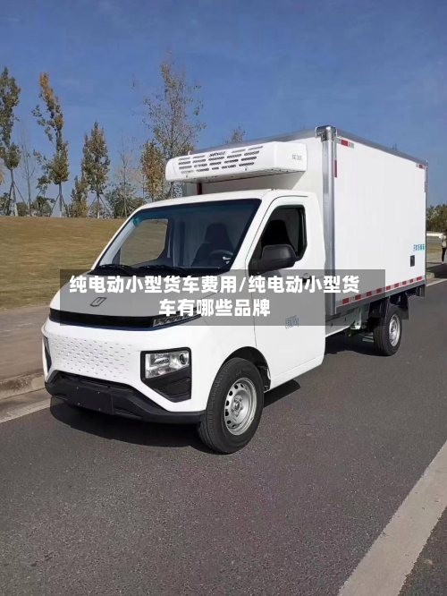 纯电动小型货车费用/纯电动小型货车有哪些品牌-第3张图片