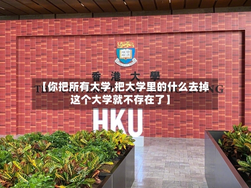 【你把所有大学,把大学里的什么去掉这个大学就不存在了】-第1张图片