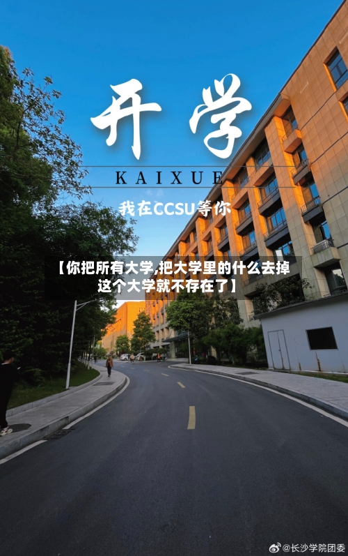 【你把所有大学,把大学里的什么去掉这个大学就不存在了】-第2张图片