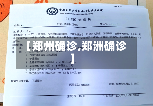 【郑州确诊,郑洲确诊】-第3张图片